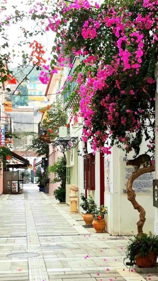 Αυλή Daire Anabolu Dış mekan fotoğraf